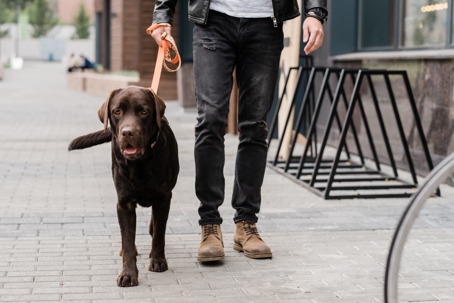 Man walking dog